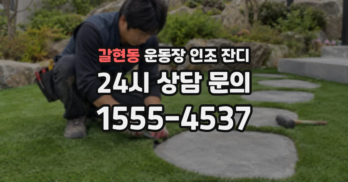 갈현동 운동장 인조 잔디