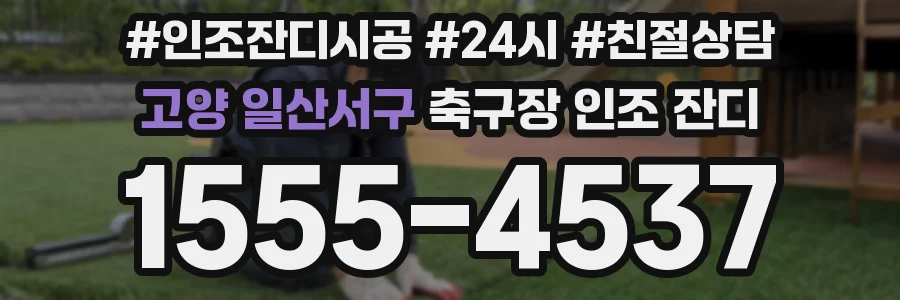 고양 일산서구 축구장 인조 잔디