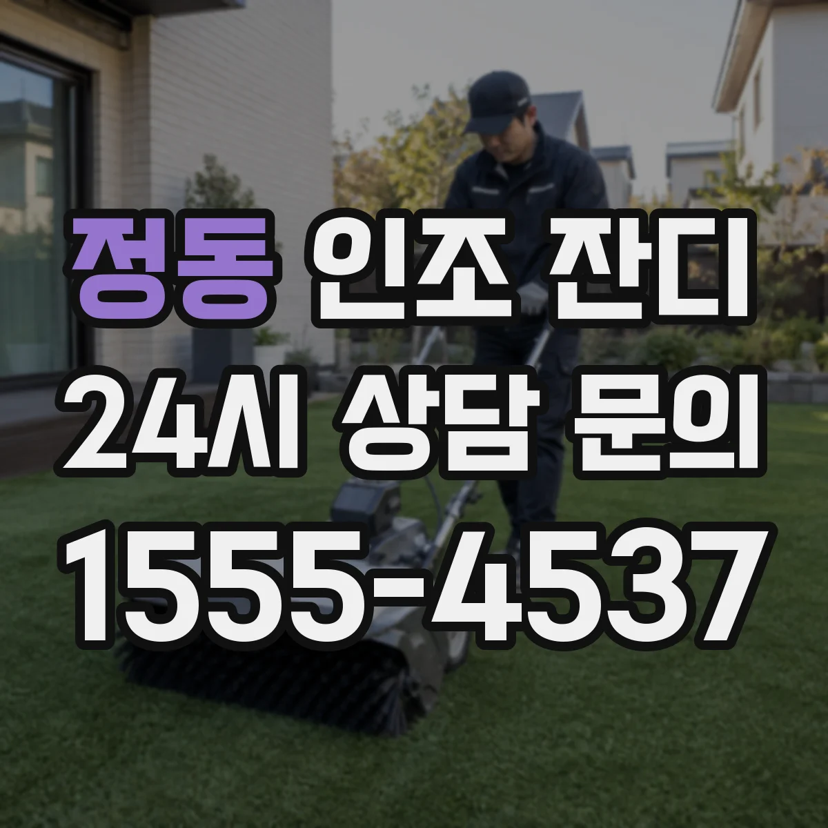 정동 인조 잔디