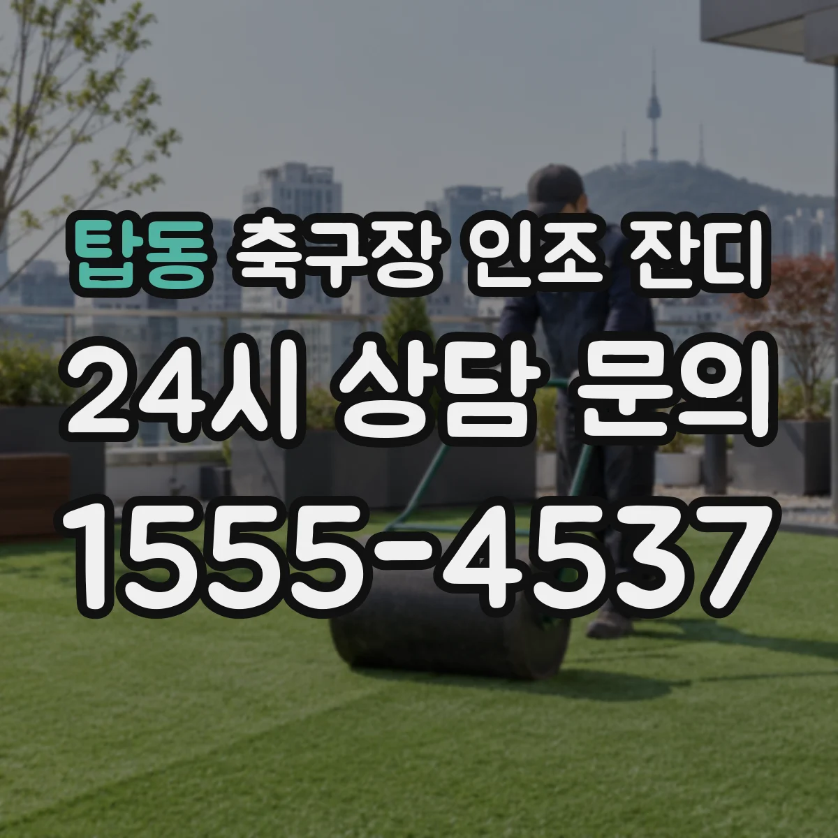 탑동 축구장 인조 잔디