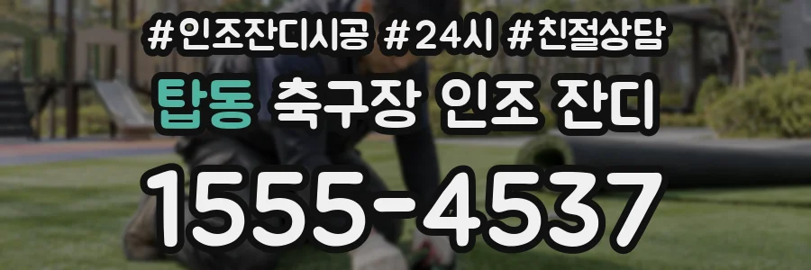 탑동 축구장 인조 잔디