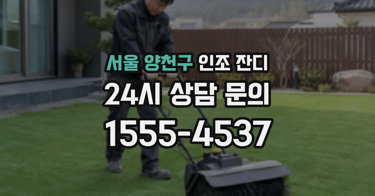 서울 양천구 인조 잔디