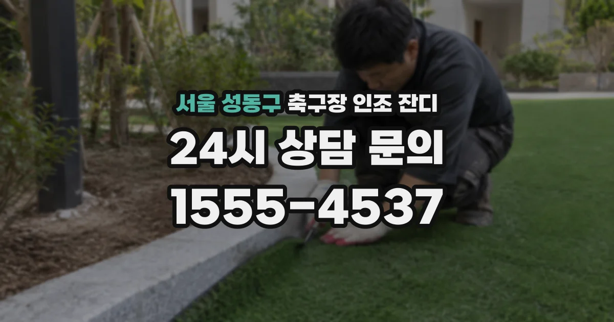 서울 성동구 축구장 인조 잔디