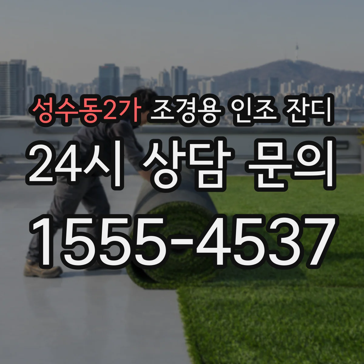 성수동2가 조경용 인조 잔디