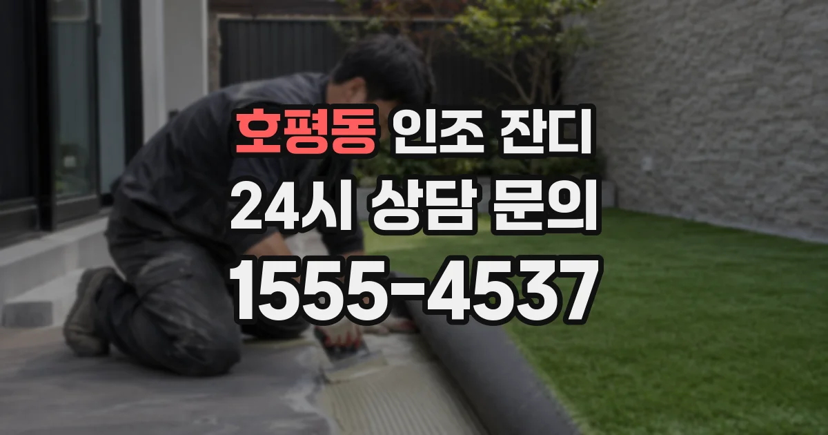 호평동 인조 잔디