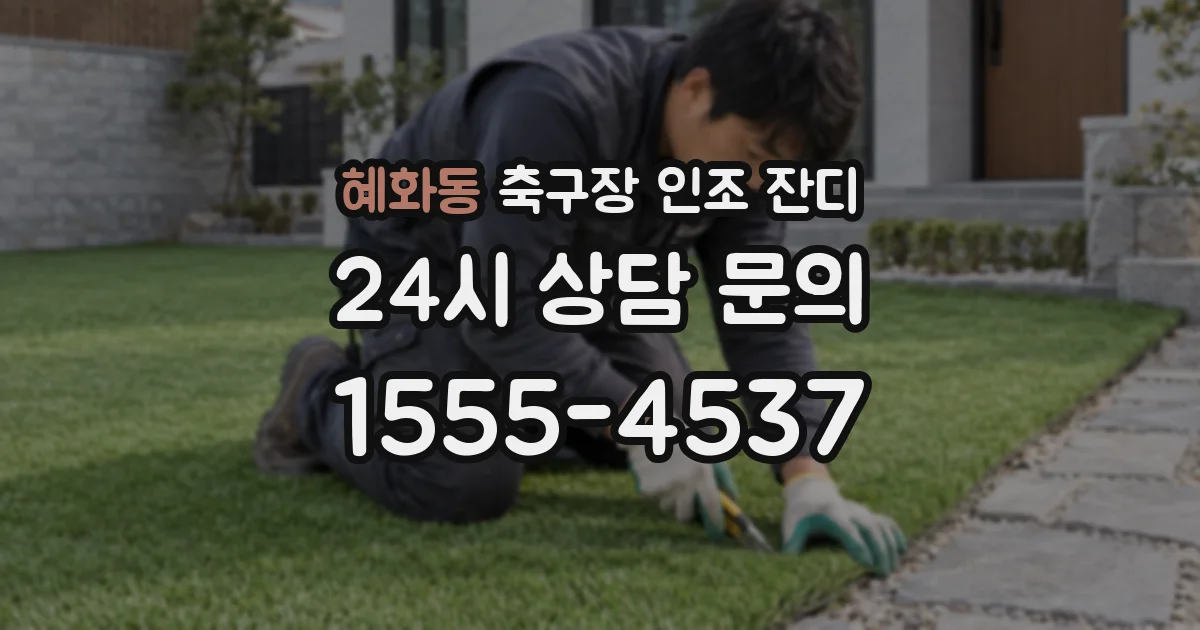 혜화동 축구장 인조 잔디