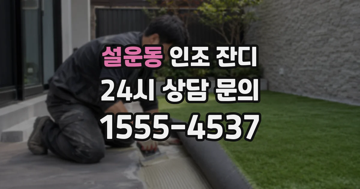 설운동 인조 잔디
