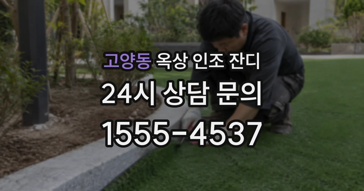 고양동 옥상 인조 잔디