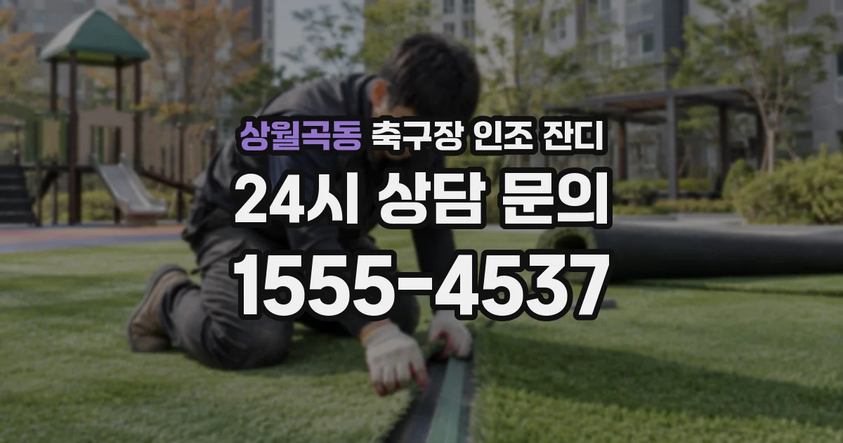 상월곡동 축구장 인조 잔디