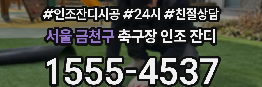 서울 금천구 축구장 인조 잔디