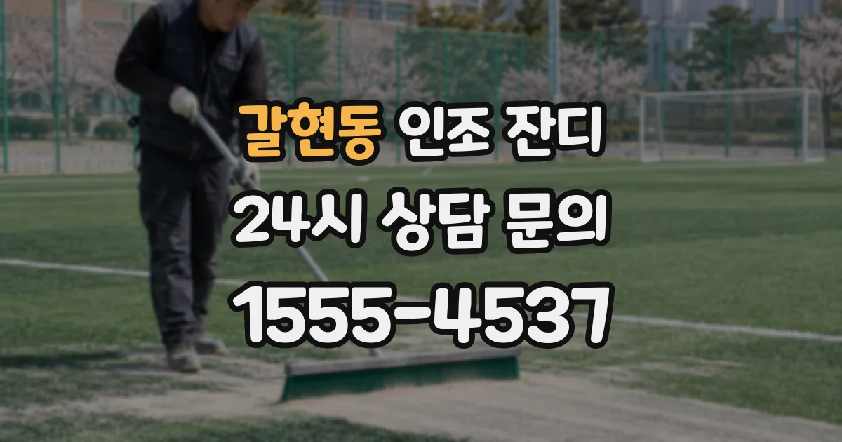 갈현동 인조 잔디