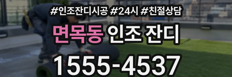 면목동 인조 잔디