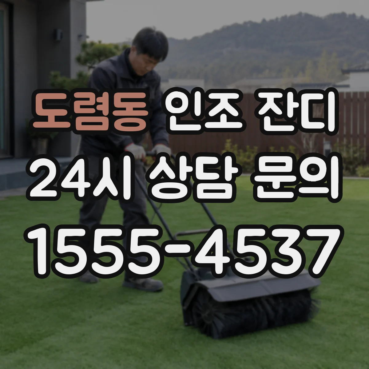 도렴동 인조 잔디