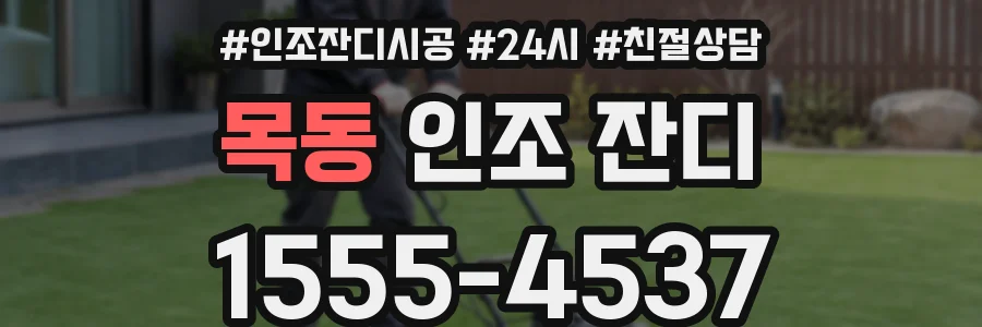 목동 인조 잔디
