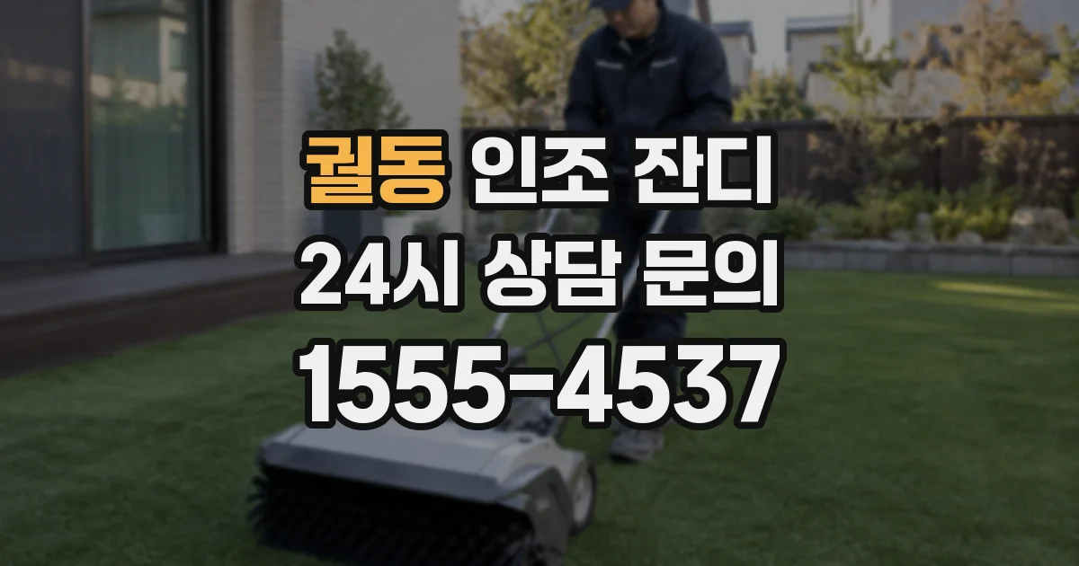 궐동 인조 잔디