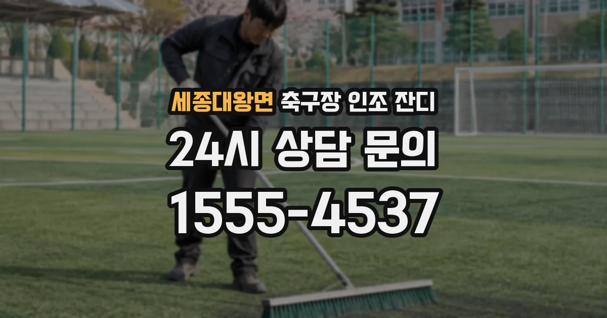 세종대왕면 축구장 인조 잔디