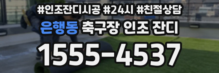 은행동 축구장 인조 잔디