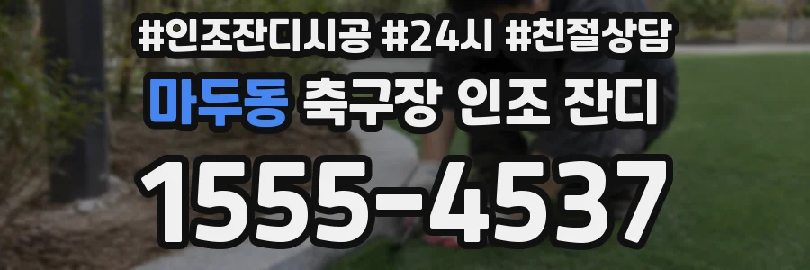 마두동 축구장 인조 잔디