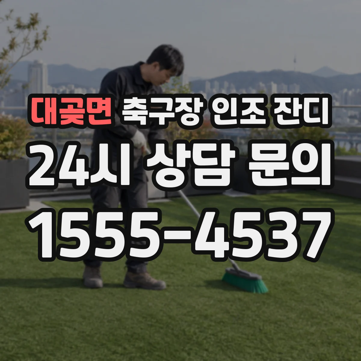 대곶면 축구장 인조 잔디