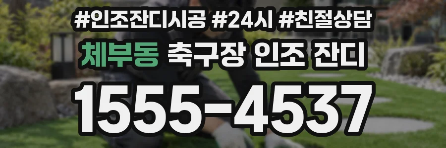 체부동 축구장 인조 잔디