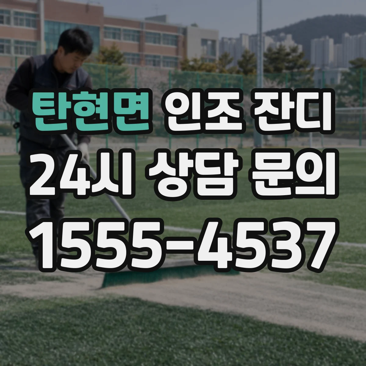 탄현면 인조 잔디