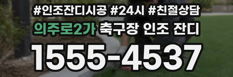 의주로2가 축구장 인조 잔디