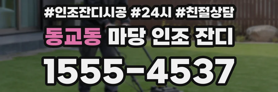 동교동 마당 인조 잔디