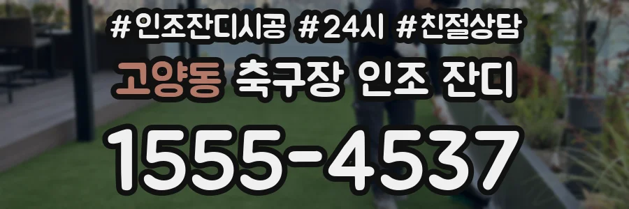 고양동 축구장 인조 잔디