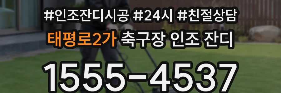태평로2가 축구장 인조 잔디