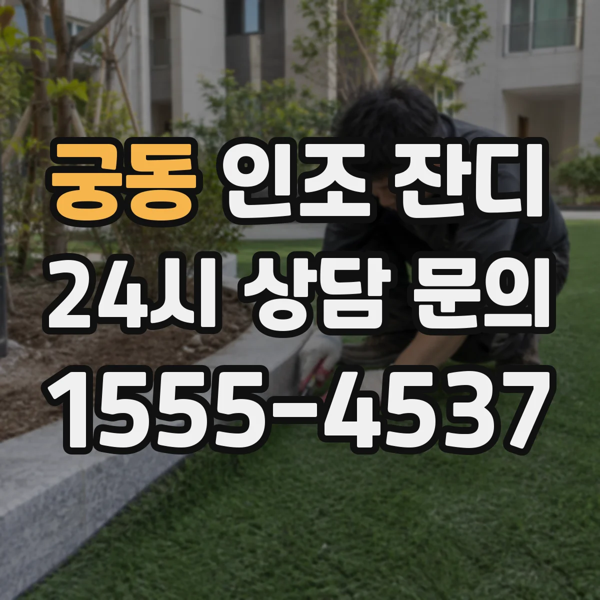 궁동 인조 잔디