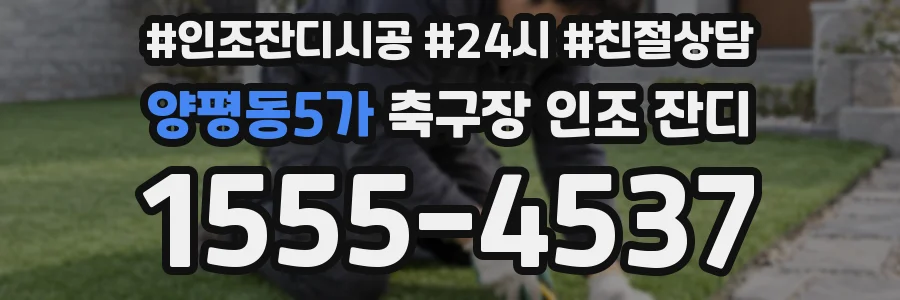 양평동5가 축구장 인조 잔디
