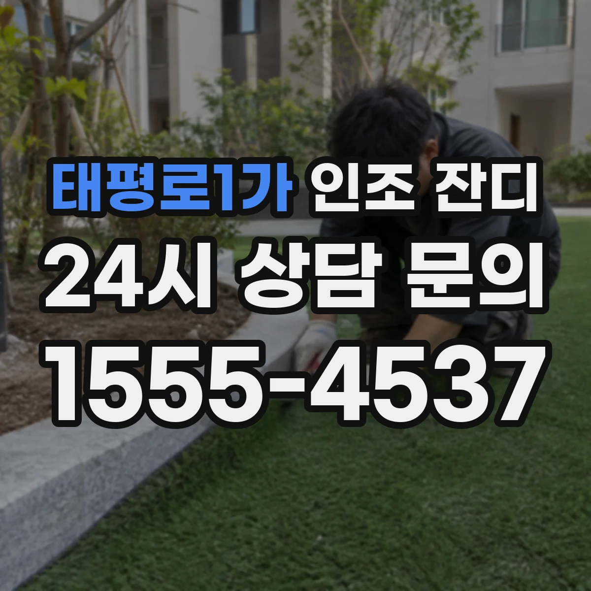 태평로1가 인조 잔디