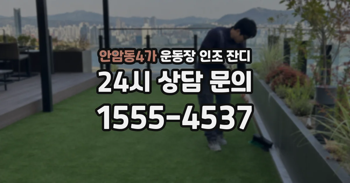 안암동4가 운동장 인조 잔디