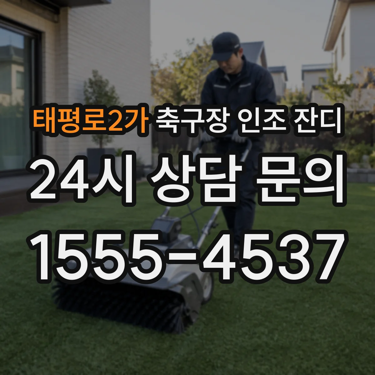 태평로2가 축구장 인조 잔디