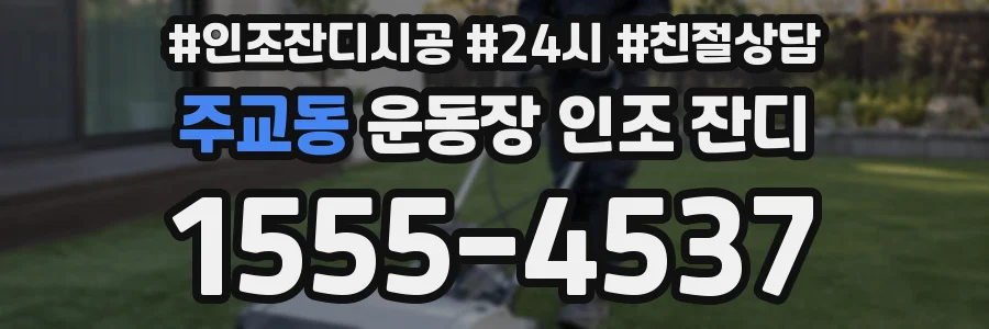 주교동 운동장 인조 잔디
