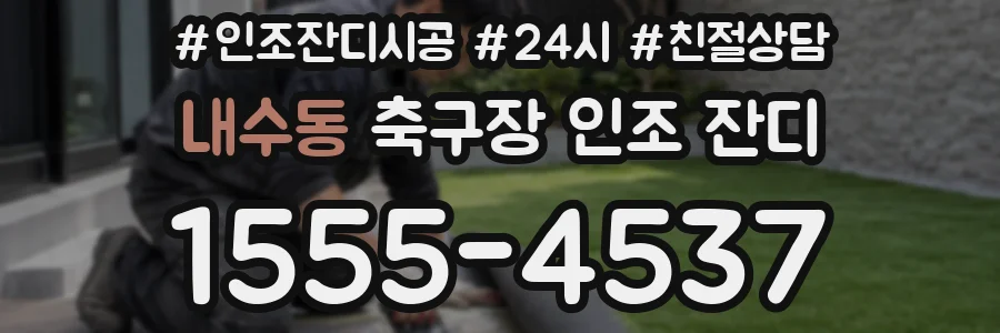 내수동 축구장 인조 잔디
