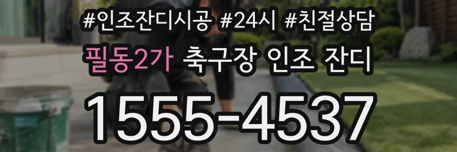 필동2가 축구장 인조 잔디