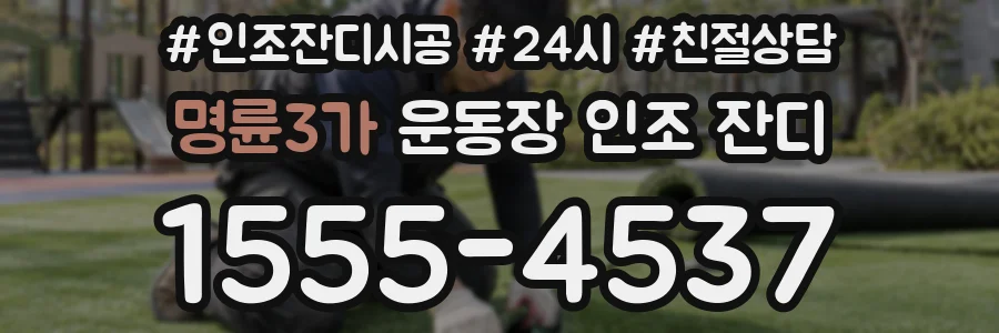 명륜3가 운동장 인조 잔디