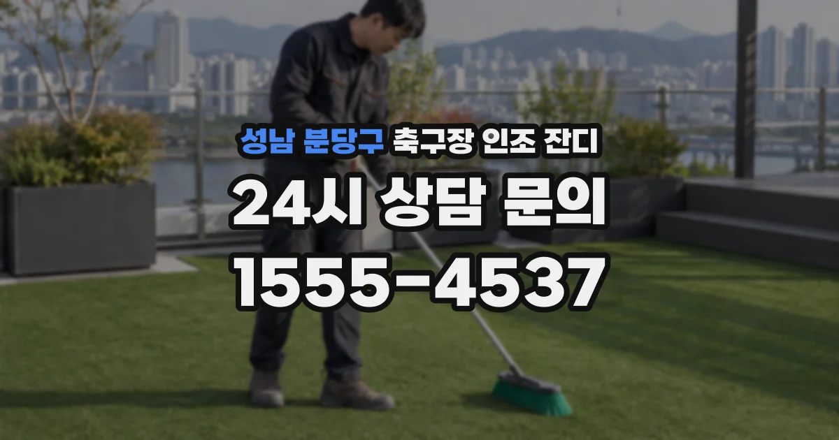 성남 분당구 축구장 인조 잔디
