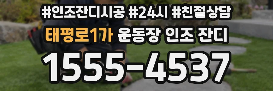 태평로1가 운동장 인조 잔디