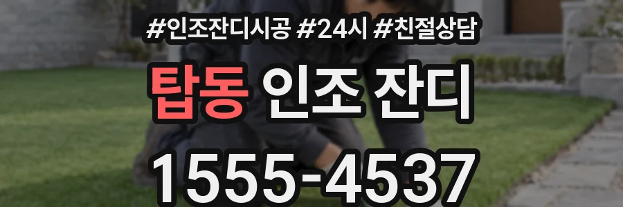 탑동 인조 잔디