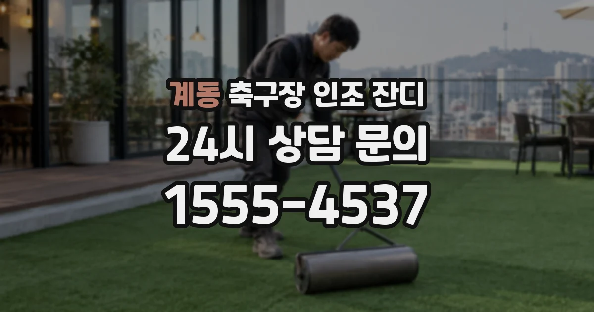 계동 축구장 인조 잔디