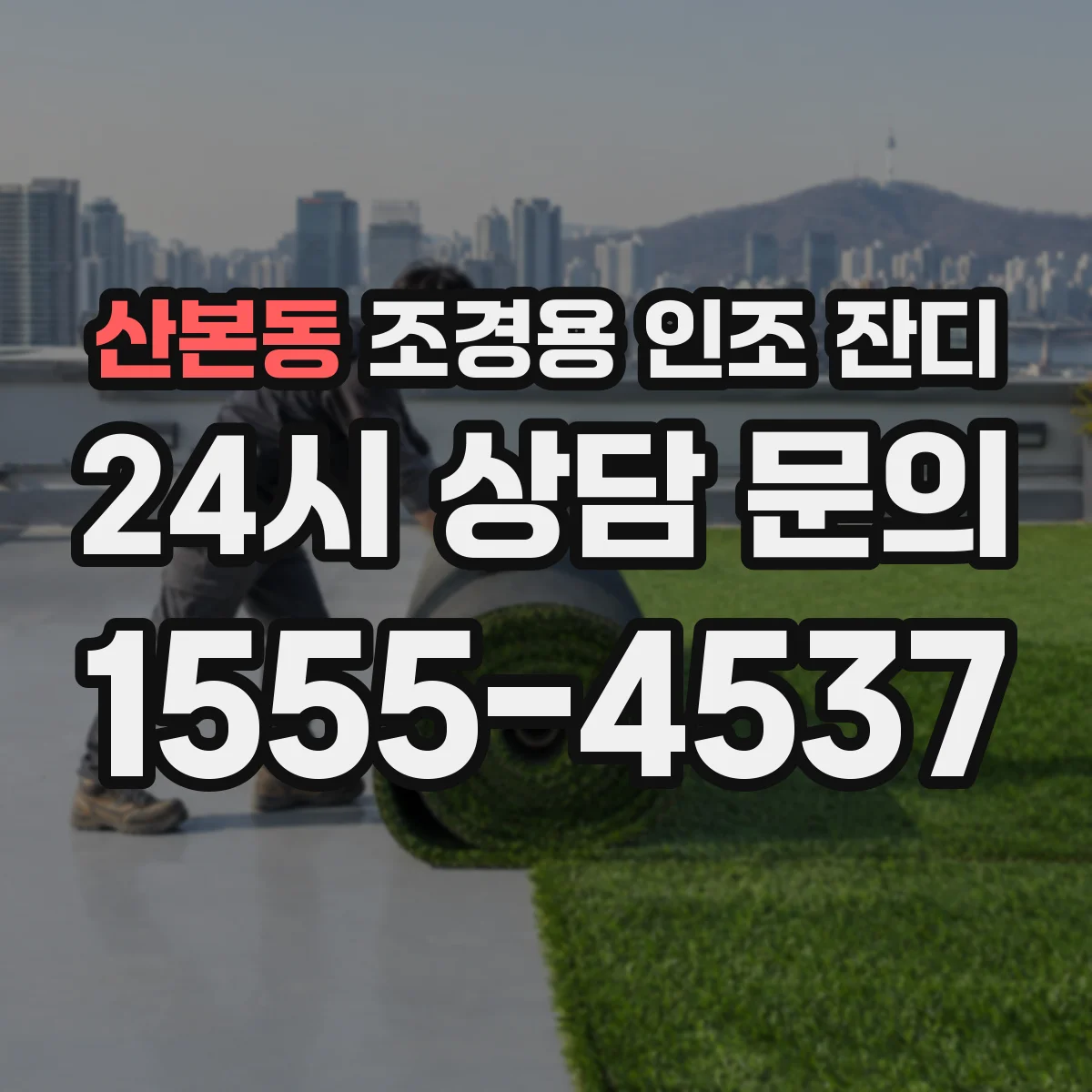 산본동 조경용 인조 잔디