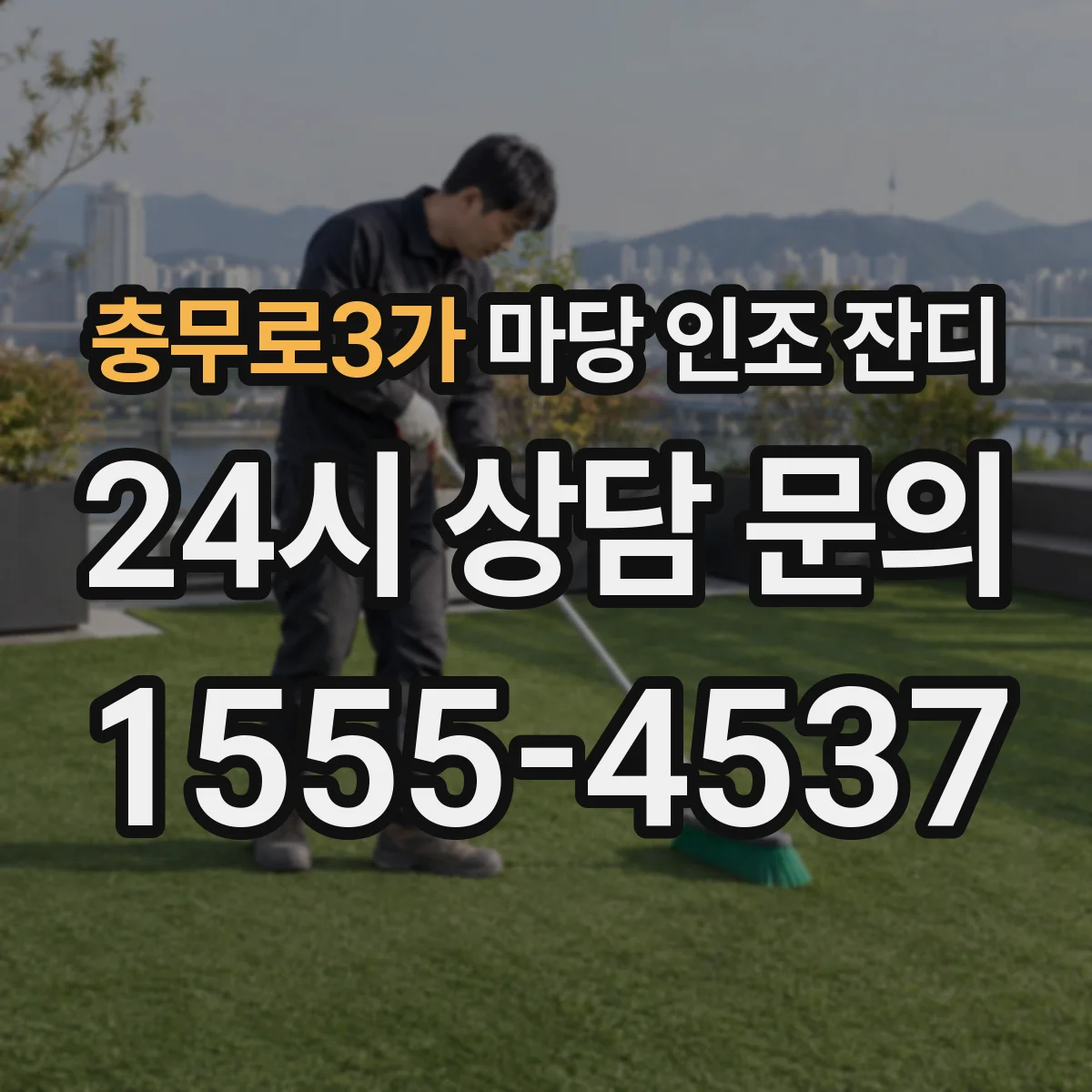 충무로3가 마당 인조 잔디