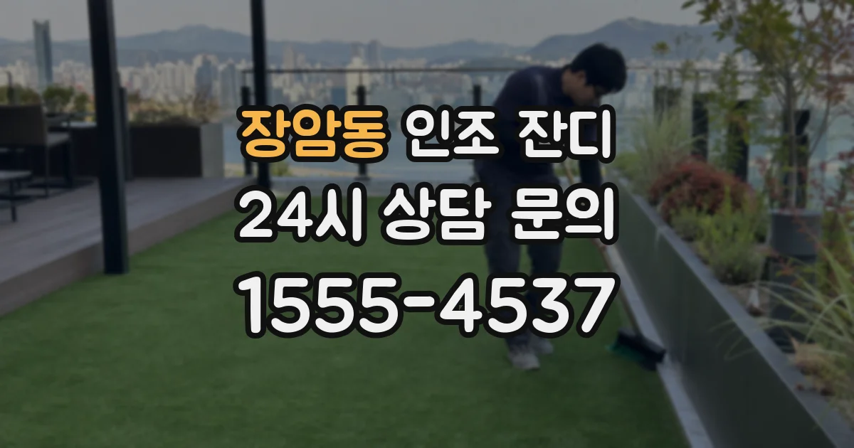 장암동 인조 잔디