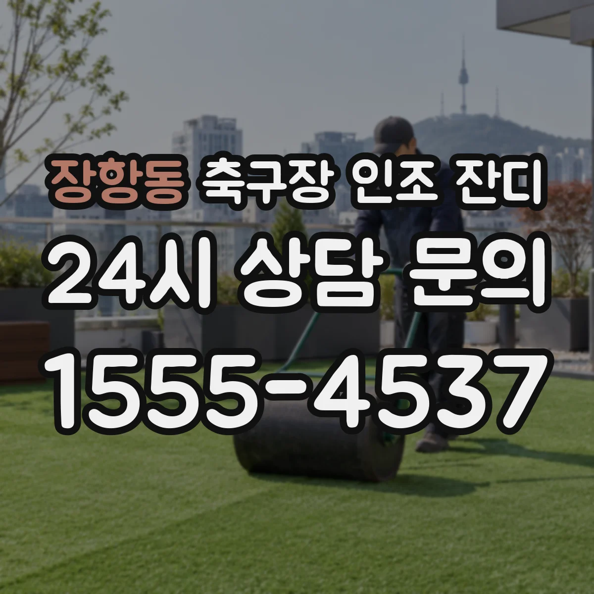 장항동 축구장 인조 잔디