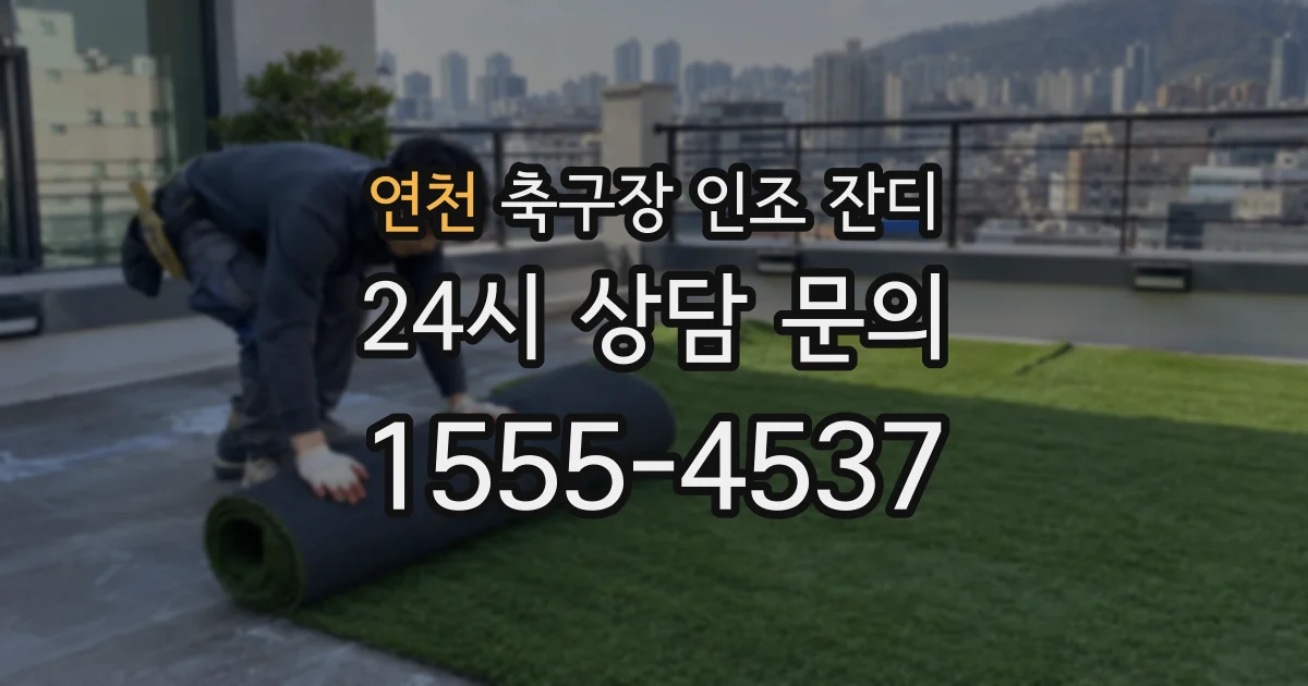 연천 축구장 인조 잔디