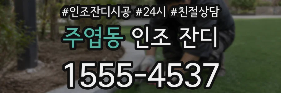 주엽동 인조 잔디