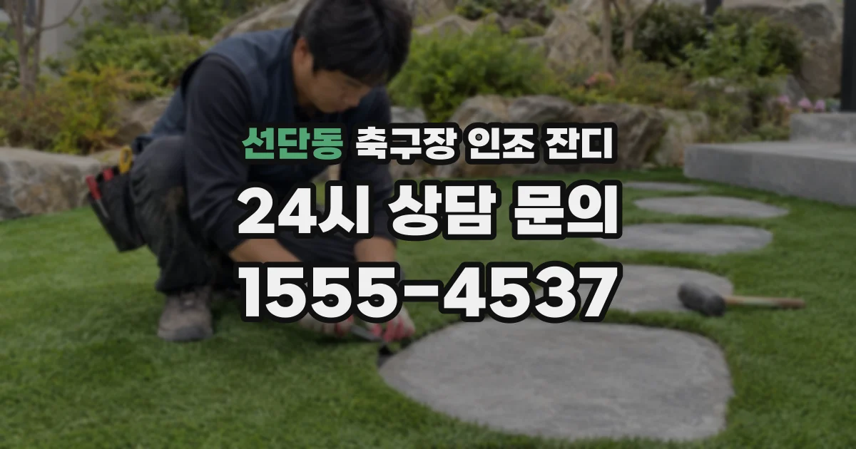 선단동 축구장 인조 잔디