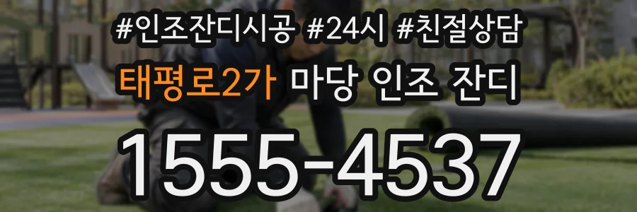 태평로2가 마당 인조 잔디